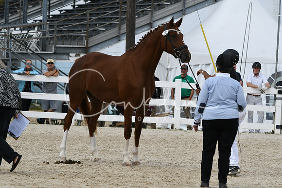 HSM_4877