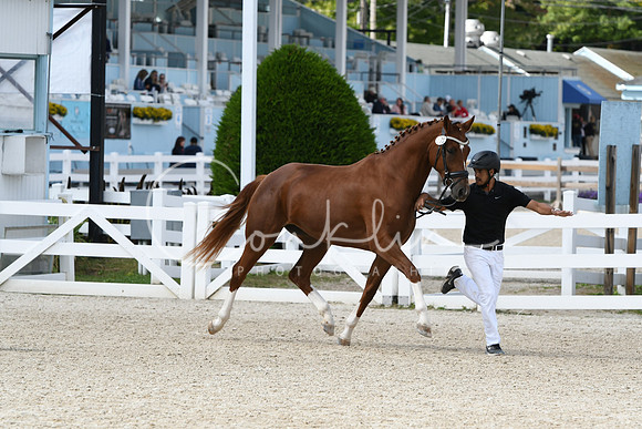 HSM_4890