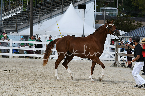 HSM_4896