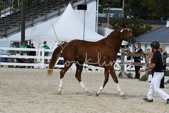 HSM_4897