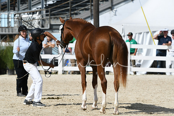 HSM_4898