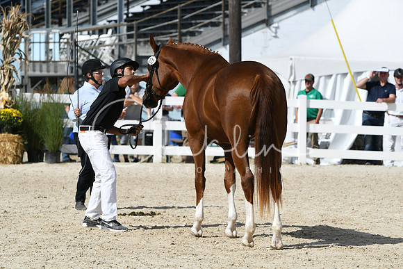 HSM_4902