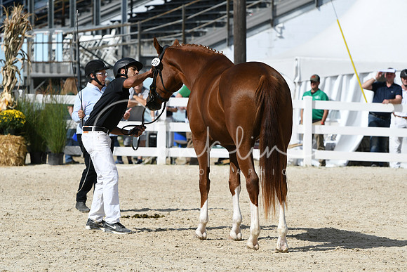 HSM_4901