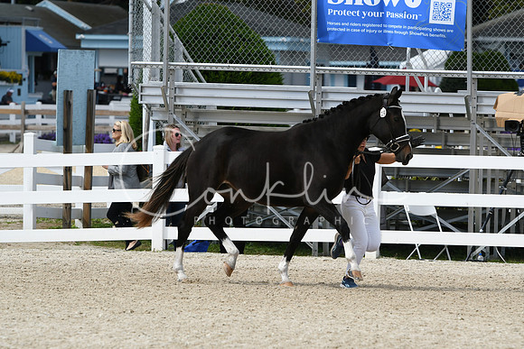 HSM_4721