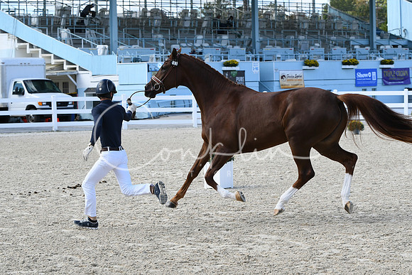 HSM_4601