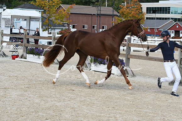HSM_4612