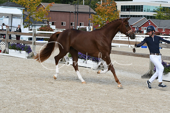 HSM_4613