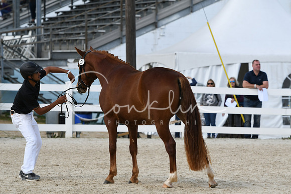 HSM_4805