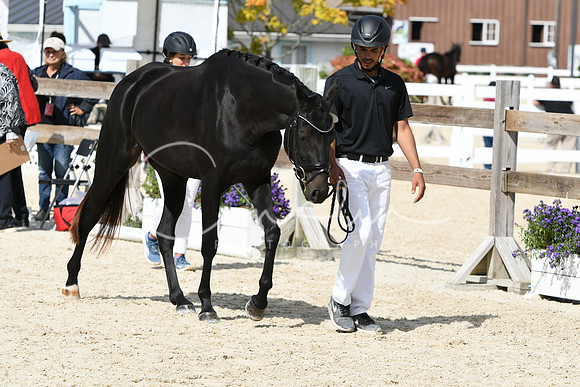 HSM_4748