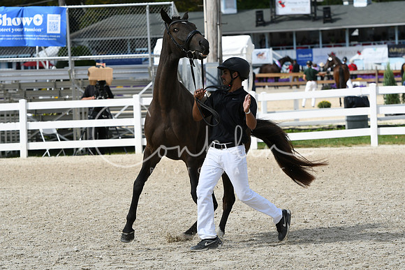 HSM_4853