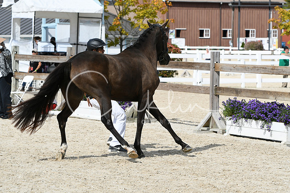 HSM_4861