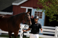 795A5099
