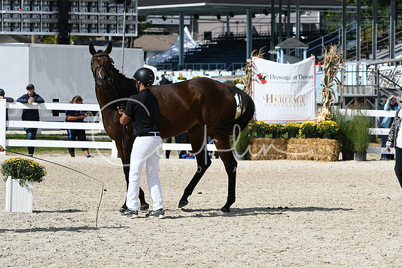 HSM_4907