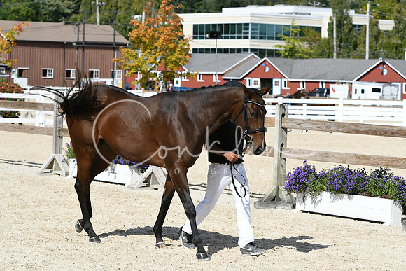 HSM_4922