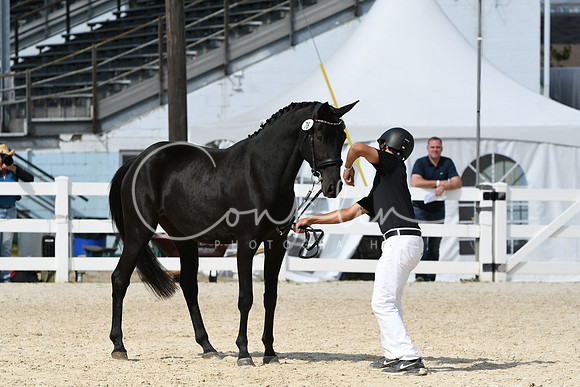 HSM_4753