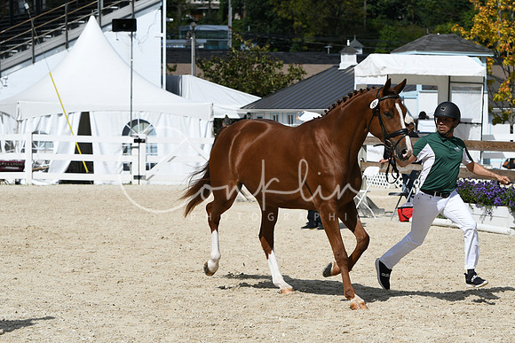 HSM_4659