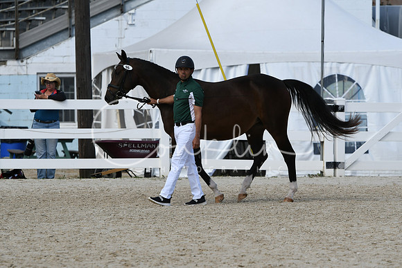 HSM_4619