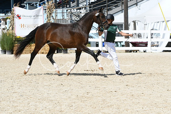 HSM_4640