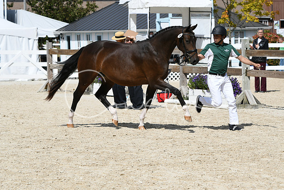 HSM_4642