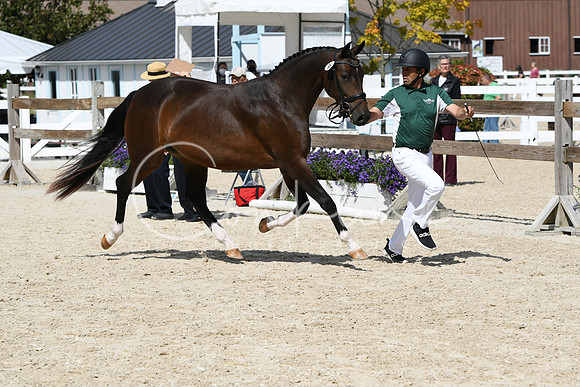 HSM_4643