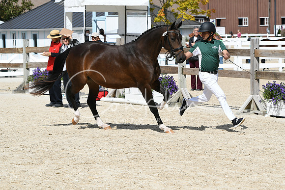 HSM_4644
