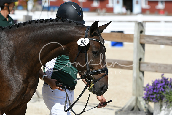 HSM_4648
