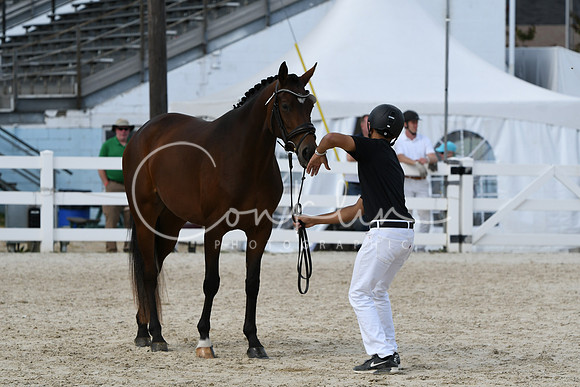 HSM_4817