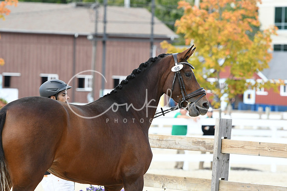HSM_4835