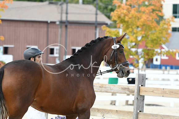 HSM_4836