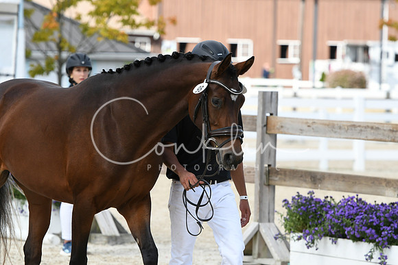 HSM_4838