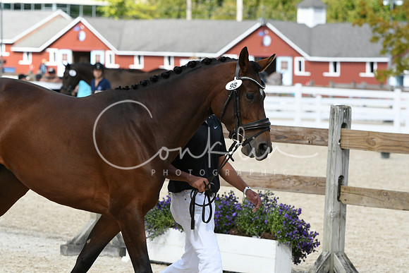 HSM_4839