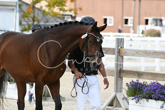 HSM_4837