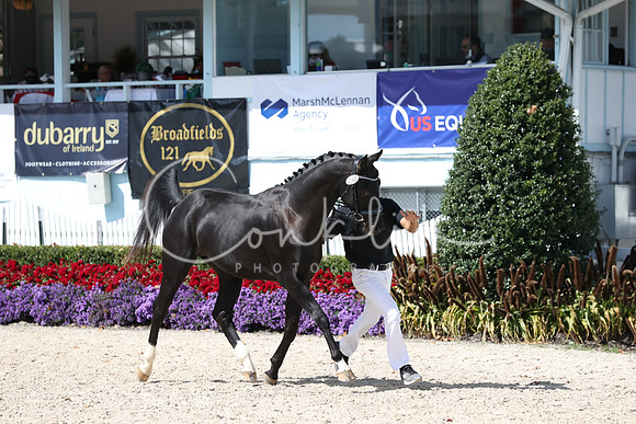 RJC33656