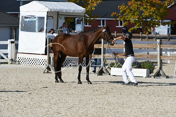 HSM_5116