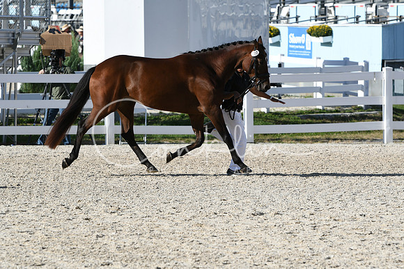 HSM_5132