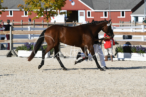 HSM_5139