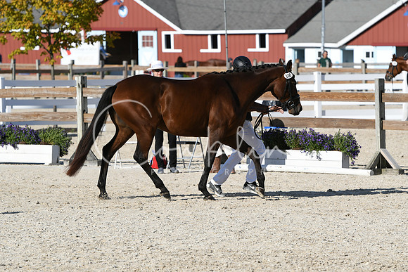 HSM_5141