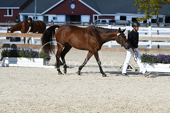 HSM_5142