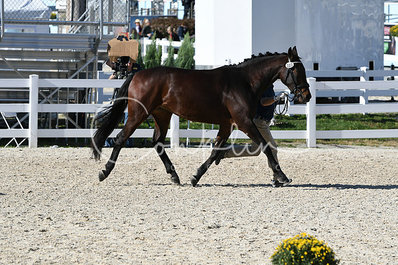 HSM_5042