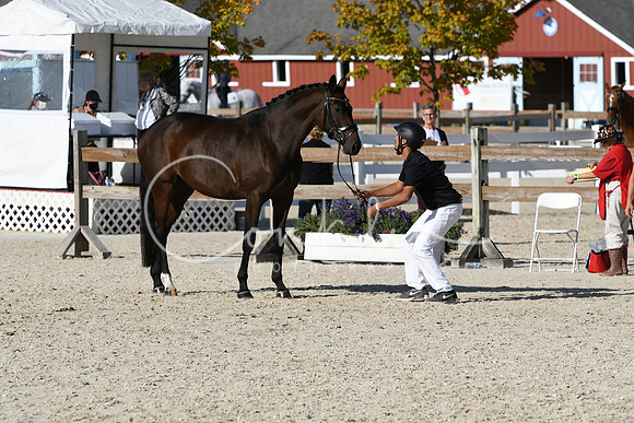 HSM_5084