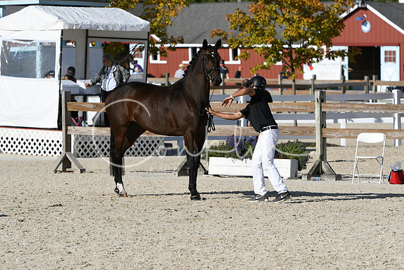 HSM_5089