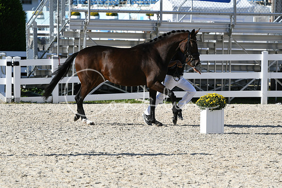 HSM_5100