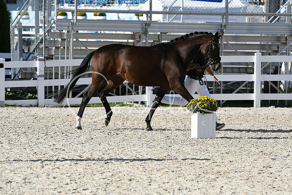 HSM_5101