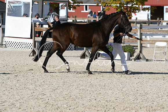 HSM_5105