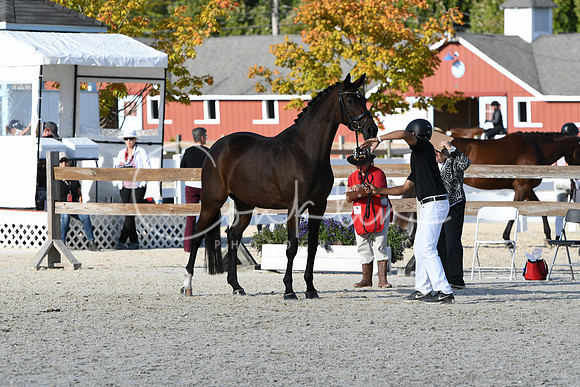HSM_5148
