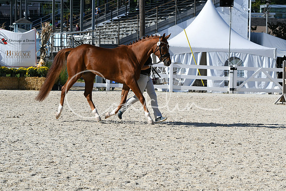 HSM_5021