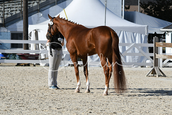 HSM_5024