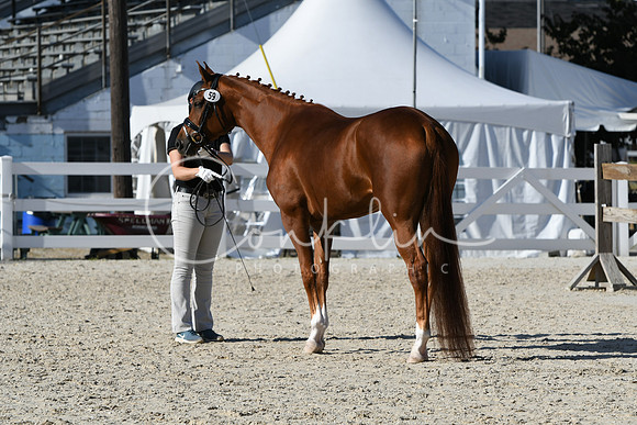 HSM_5026