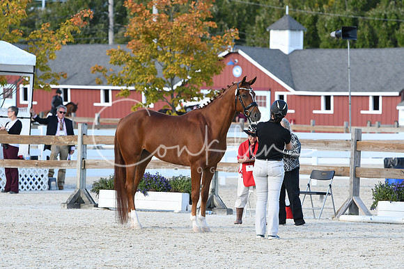 HSM_5171