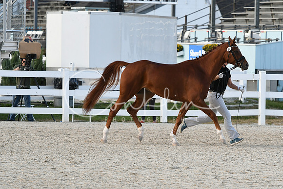 HSM_5182
